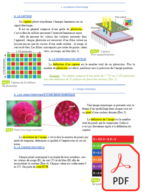 Conclusion Enseignement Snt Module La Photographie Num Rique