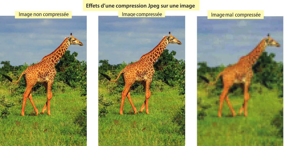 La compression des images [Enseignement SNT - Module 05 - La